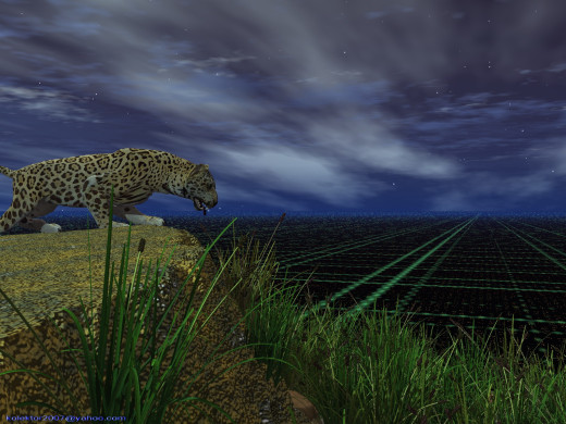 18488 (a): :1600x1200